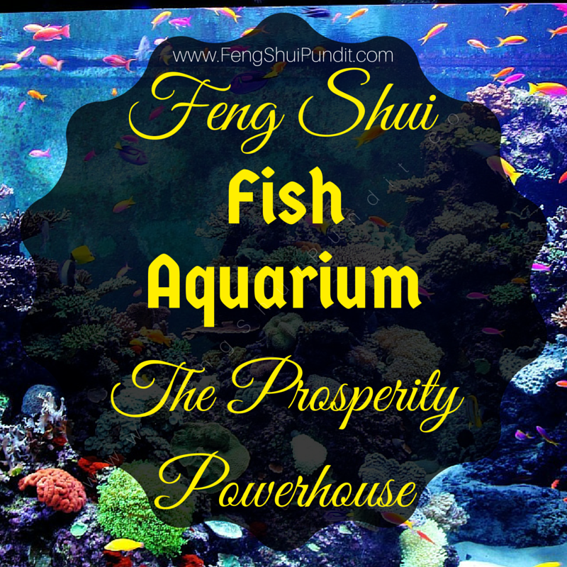 fish tank feng shui living room