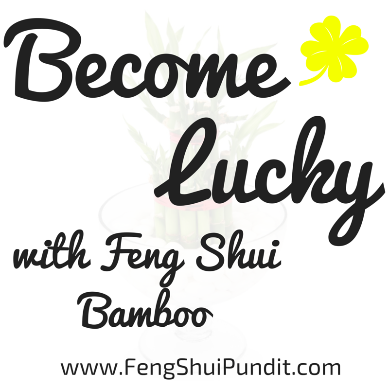 Feng Shui Lucky Bamboo Plant 8 Do S 4 Don Ts