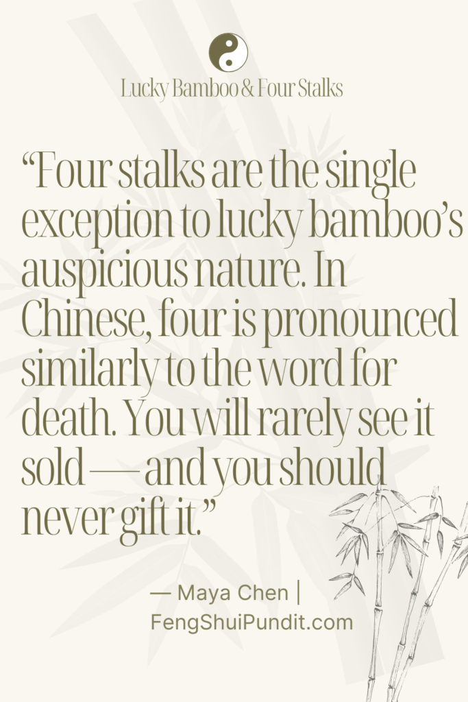 4 Stalk Feng Shui lucky bamboo