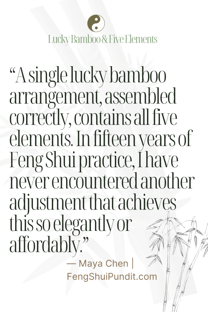 Lucky Bamboo and the five elements