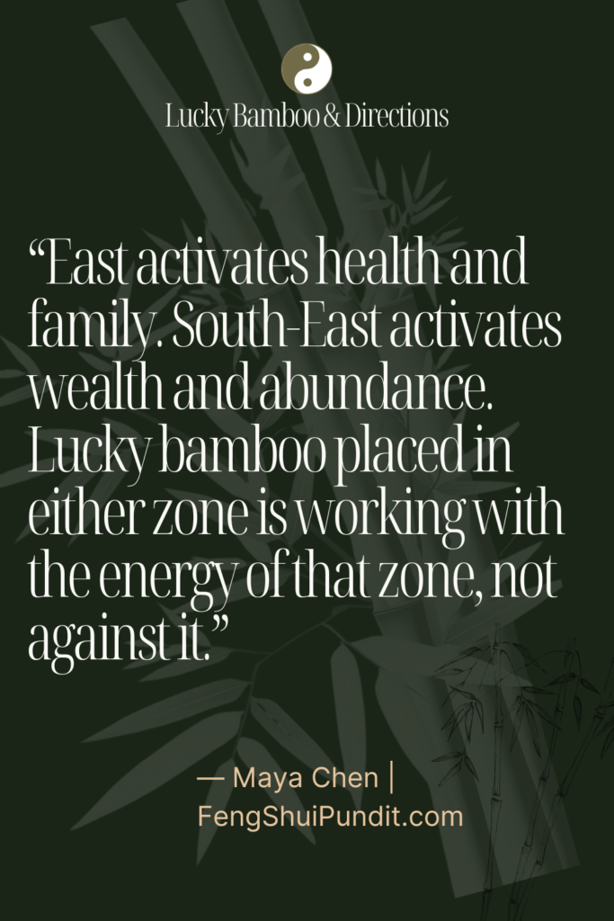 Luck Bamboo Placement As Per Feng Shui