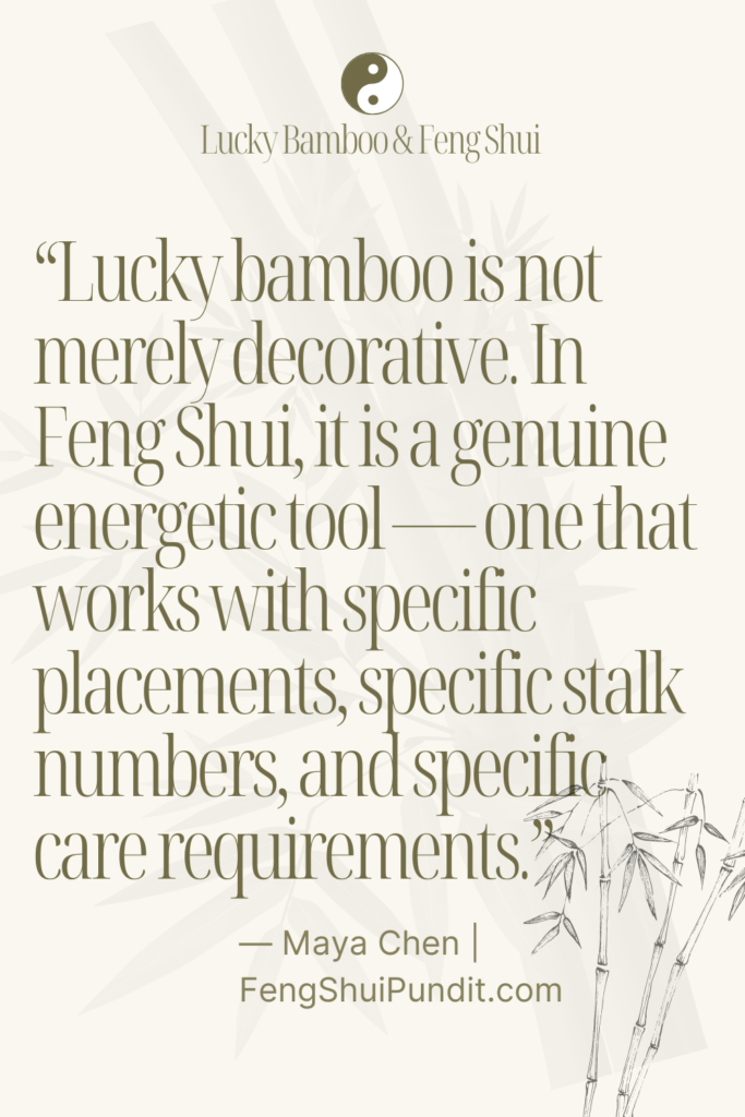 Lucky Bamboo Feng Shui