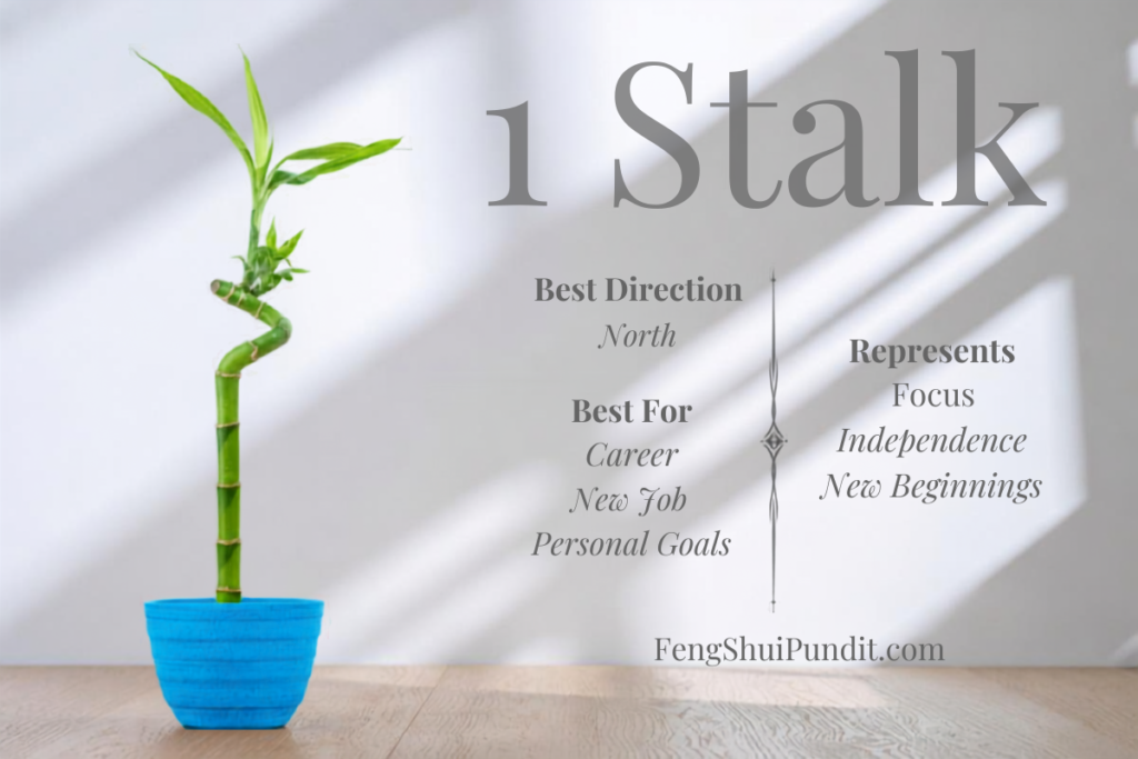1 Stalk Lucky Bamboo Meaning