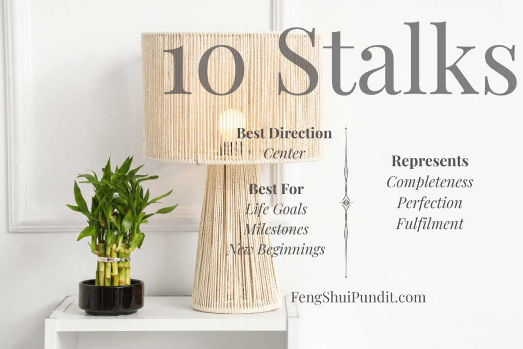 10 Stalk Lucky Bamboo Meaning
