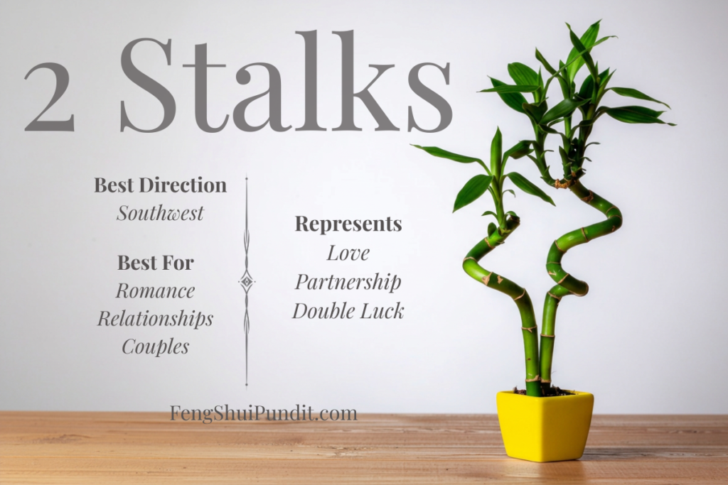2 Stalk Lucky Bamboo Meaning