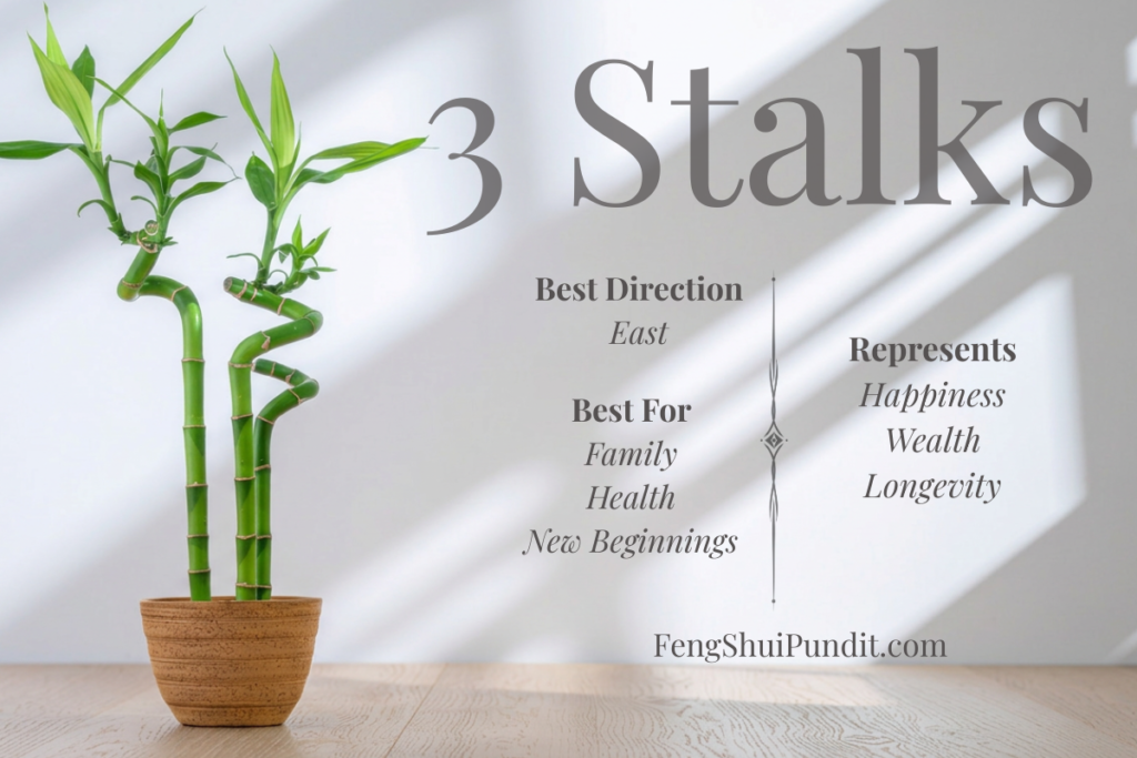 3 Stalk Lukcy Bamboo Meaning