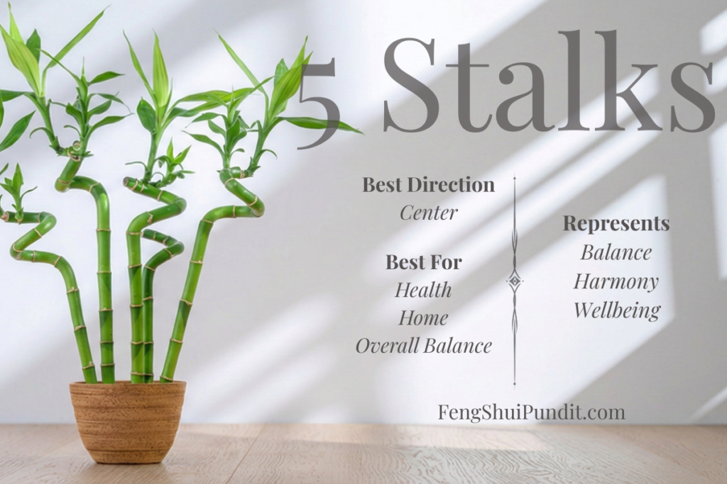 Meaning of 5 Stalk bamboo