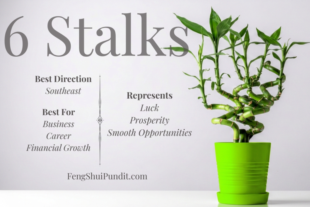 6 Stalk Lucky Bamboo Meaning
