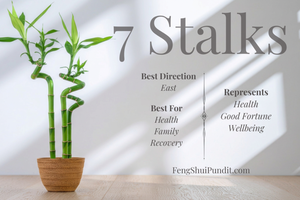 Meaning of 7 Stalk Lucky Bamboo