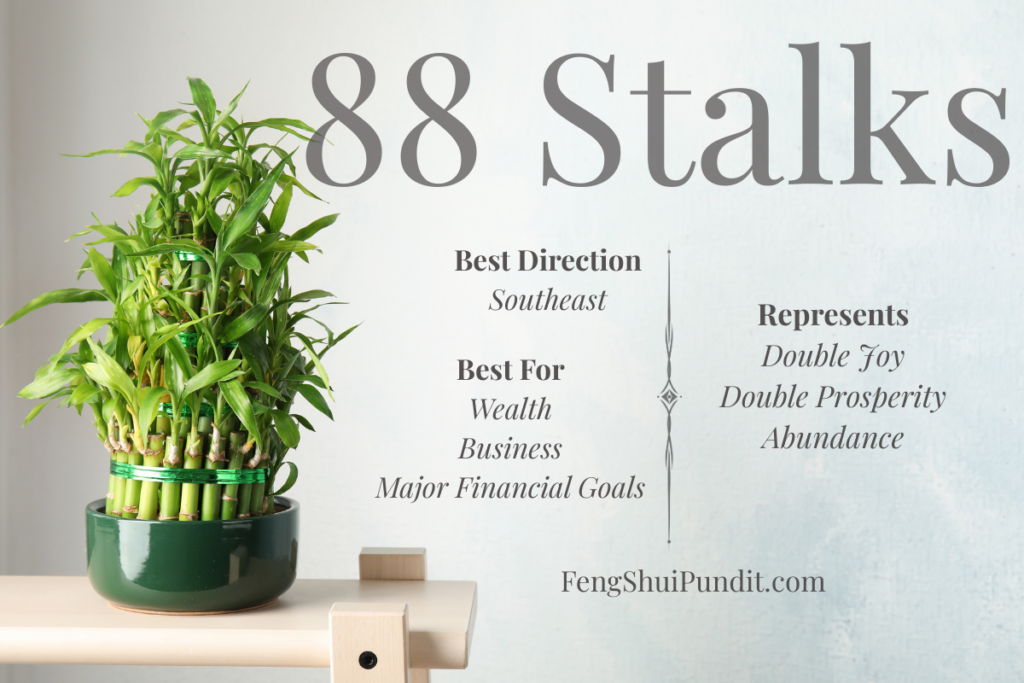 88 Stalks in a lucky bamboo and it's meaning
