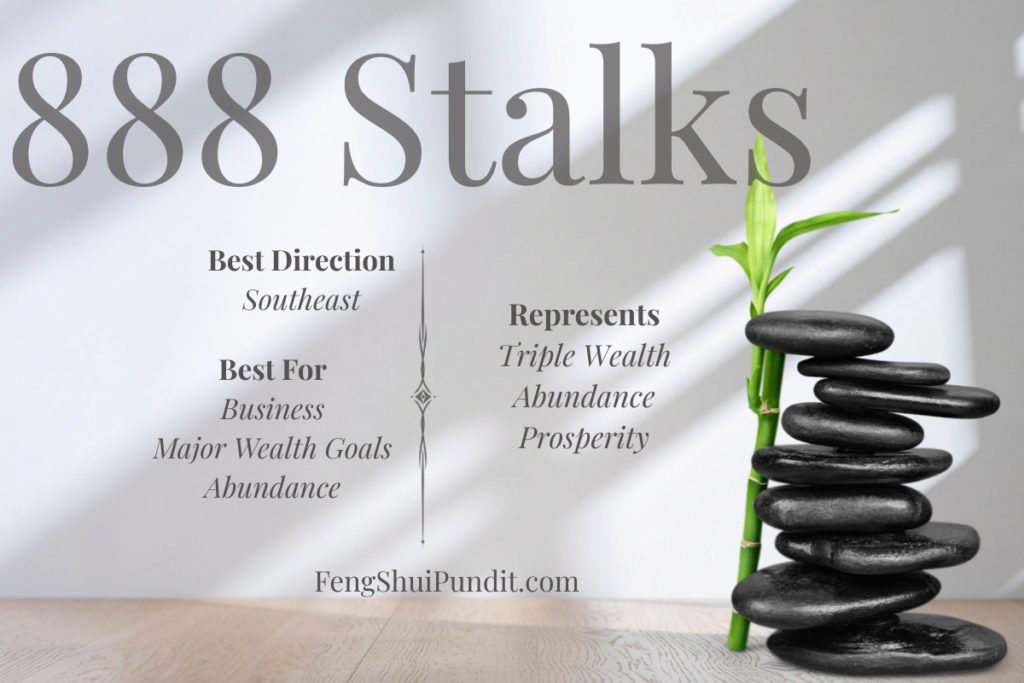 888 Stalks of lucky bamboo and it's meaning