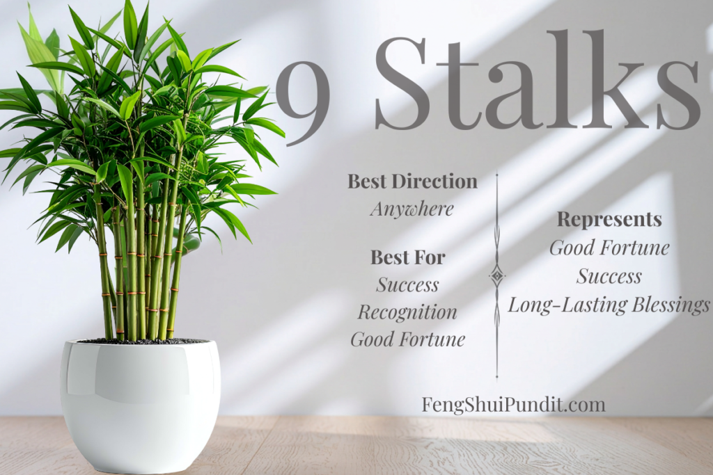 Meaning of 9 Stalk Lukcy Bamboo